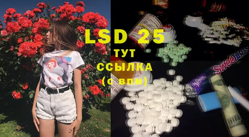 LSD-25 экстази кислота  hydra маркетплейс  Чкаловск 