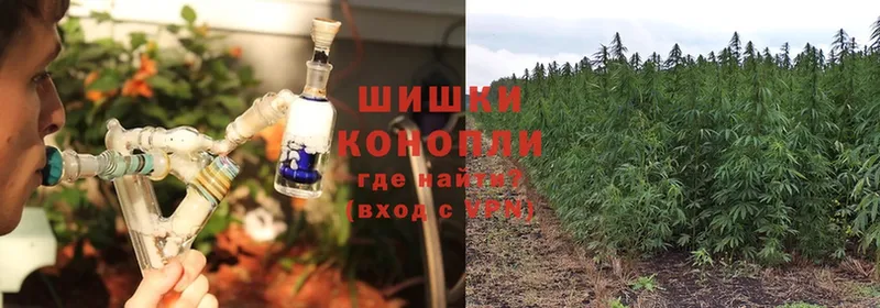 МАРИХУАНА White Widow  Чкаловск 